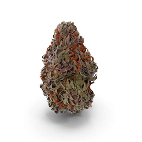 Marijuana Buds PNG Images & PSDs for Download | PixelSquid - S10592042F