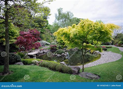 Japanese Garden, with Maple Trees and Pond Stock Image - Image of foliage, japanese: 14163145