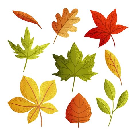 Watercolor Fall Leaves Clipart Fall Clipart Autumn Decor - Clipart Library - Clip Art Library