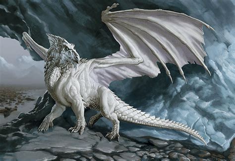 Fantasy White Dragon Wallpaper Images & Pictures - Becuo