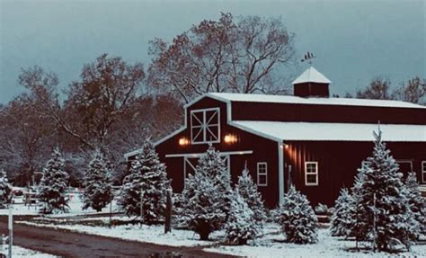 This Texas Christmas Tree Farm is the Perfect Backdrop for Family Photos