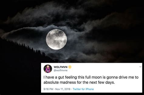 Full Moon 2019: Does the Full Moon have an effect on humans? - WSTale.com