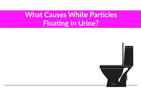 Particles Floating In Urine - Causes, Treatment and Prevention - The ...