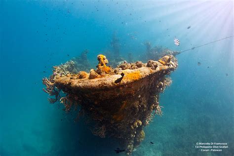 Ship Wrecks Snorkeling Tours Coron, Palawan – Calamianes Expeditions Ecotours