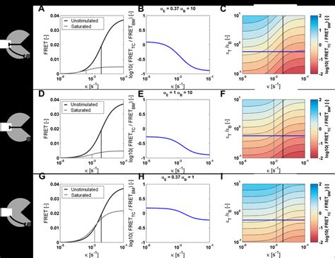 Influence of the activation rate on the FRET efficiency with and ...