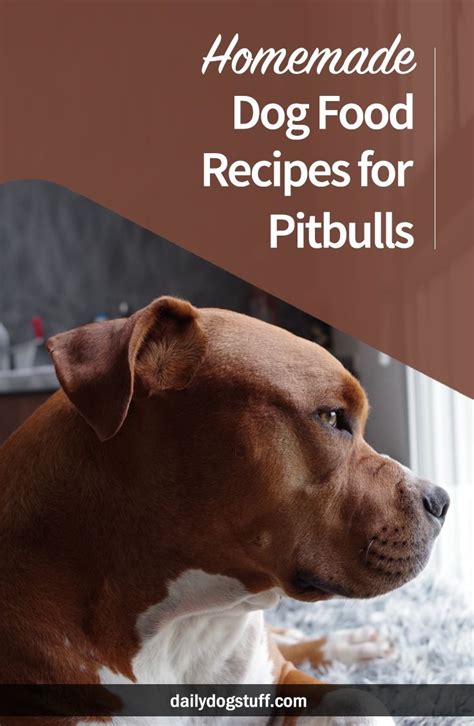 5 Homemade Dog Food Recipes for Pitbulls | Daily Dog Stuff | Dog food ...