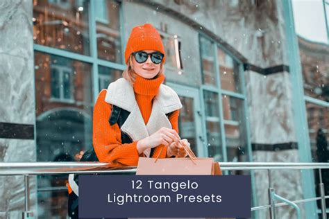 12 Tangelo Lightroom Presets - Photoshopresource