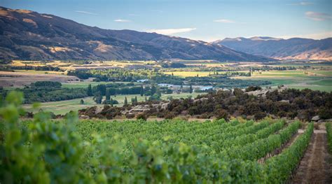 Central Otago Wine Region, New Zealand | Winetourism