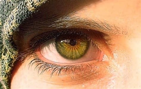 25 Amazing Facts About Green Eyes | Guy Counseling