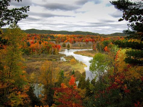 Eric's Hikes: Manistee River Trail/NCT loop: October 5-6, 2012