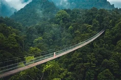 Situ Gunung, Wisata di Sukabumi dengan Spot Jembatan Gantung Yang Cantik - Urban Garut