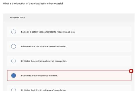 Solved What is the function of thromboplastin in hemostasis? | Chegg.com