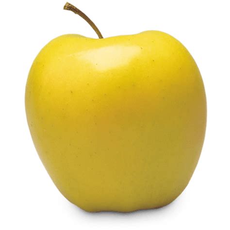 Yellow Apple Pictures | Free download on ClipArtMag