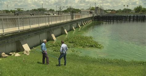 Toxic algae a slimy mess for Florida's Lake Okeechobee - CBS News