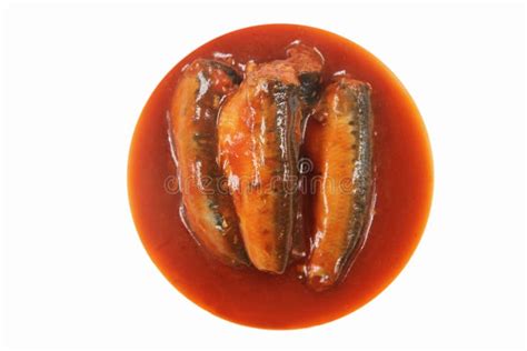 Sardines in Tomato Sauce stock image. Image of food, tomato - 53778343