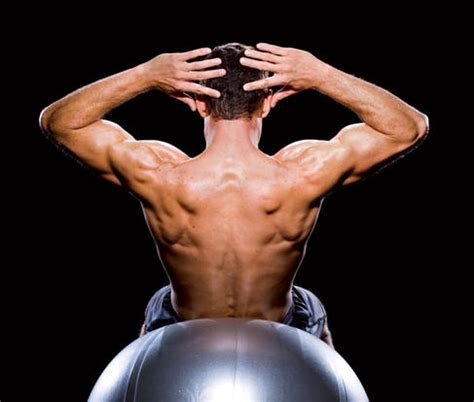 Lower Back Exercises - WorkoutInfoGuru