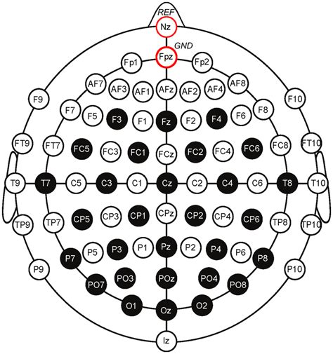 The selected electrode locations of the International 10–20 system (29... | Download Scientific ...