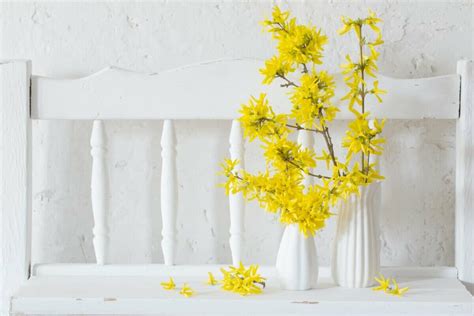 Forsythia Flowers: Bright Blooms with Deep Meanings and Symbolism ...