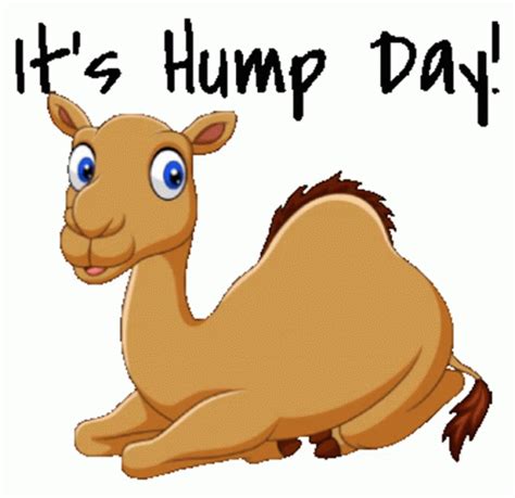 Wednesday Hump Day Motivation Animated Stickers Sticker - Wednesday Hump Day Motivation Animated ...