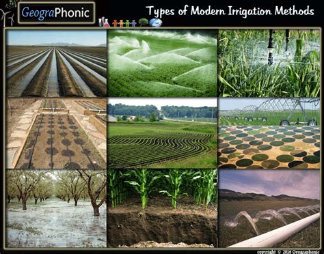 Free Quiz Game : Types of Modern Irrigation Methods Types of Modern Irrigation Methods, Types ...