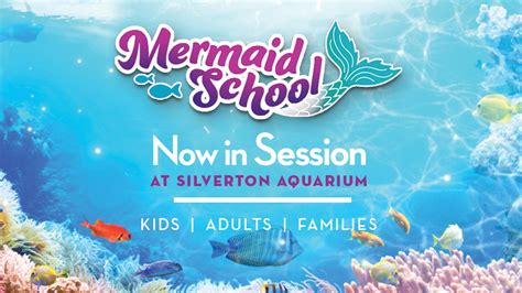 Mermaid School- Silverton Casino Aquarium