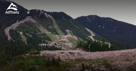 Best Trails in Grouse Mountain Park - British Columbia, Canada | AllTrails