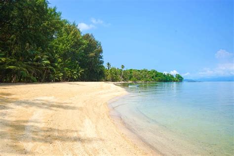 The One-Stop Snorkeling Guide to Koh Mak's Underwater Paradise | Koh Phangan Online Magazine