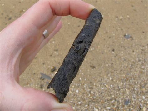 Walton-on-the-Naze (Essex) | Discovering Fossils