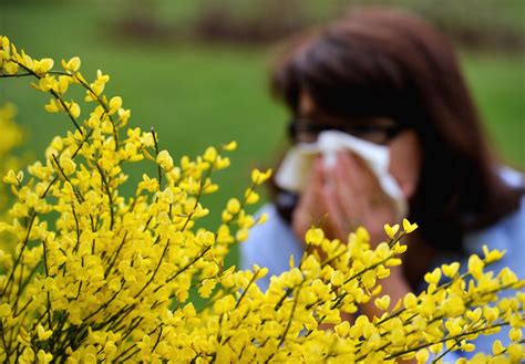 Allergy Season 2018: Starting Earlier, Lasting Longer - Newsweek