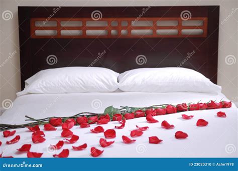 Bed of roses stock photo. Image of champagne, happy, bedroom - 23020310