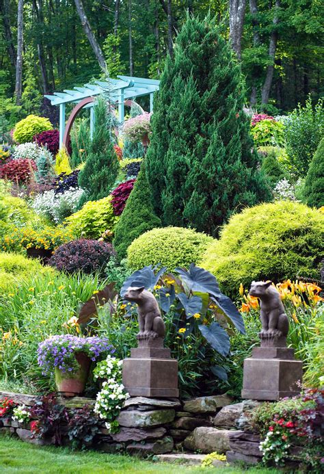 25 Best Evergreen Trees for Privacy and Year-Round Greenery