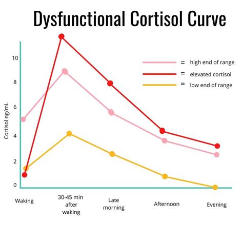 How-to-reduce-cortisol-levels-naturally- | FWDfuel Sports Nutrition