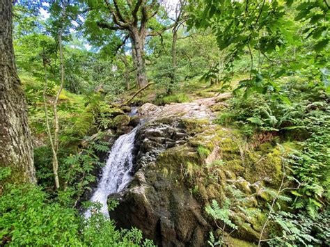 Waterfalls in the Lake District | Wild Swimming | Lifehop