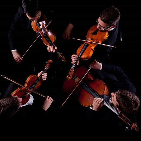 Royalty Free String Quartet Pictures, Images and Stock Photos - iStock