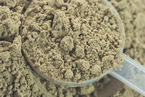 Hemp Protein Powder: Everything You Need To Know - Onnit Academy