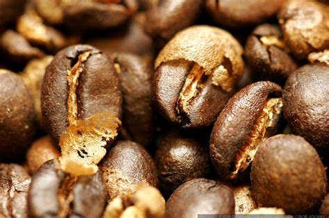 health - Are light coloured spots on beans mold? - Coffee Stack Exchange