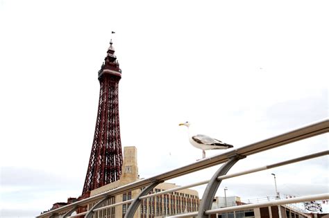 The Blackpool Tower Eye | Blackpool, Lancashire