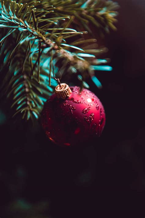 Close up of Christmas tree decorations | Free public domain photo