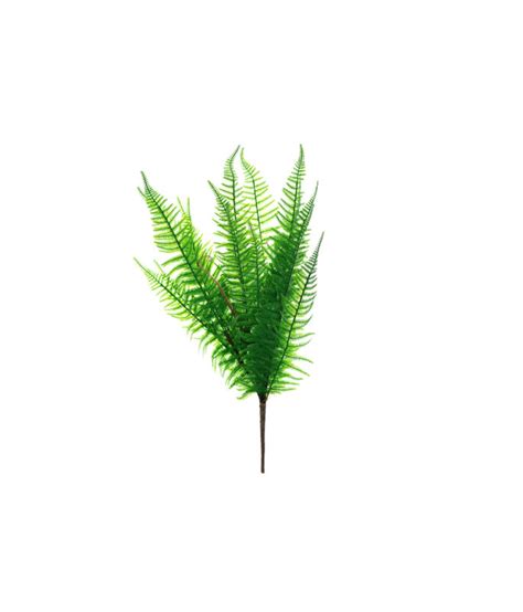 Dark Green Colour Fern 65cm – LookSharpStore