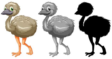 Set of emu character 432978 Vector Art at Vecteezy