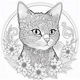 Katzen Ausmalbilder Kostenlos Herunterladen Und Ausmalen In 2024  sketch template