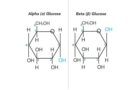 Alpha vs Beta Glucose: Differences and Similarities - HowChimp