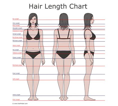 Descriptions of hair lengths and growing times | Hair length chart