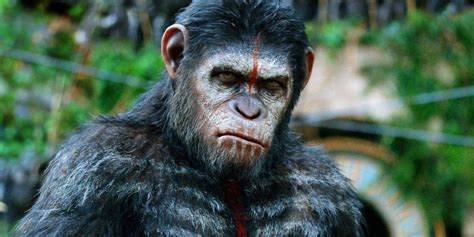 Caesar Is More 'Human' in War for the Planet of the Apes