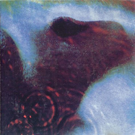 Pink Floyd - Meddle (CD) | Discogs