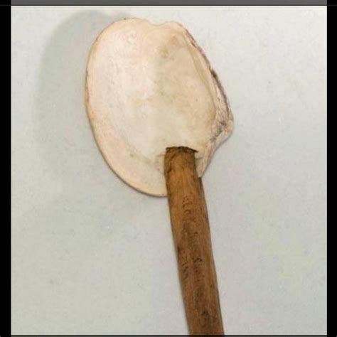 Replica of a Alutiiq shell spoon found in a collection of Alutiiq artifacts at the Sheldon ...