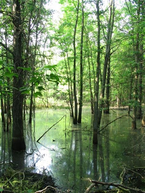 Clay Pit Ponds State Park Preserve, Charleston, Staten Island