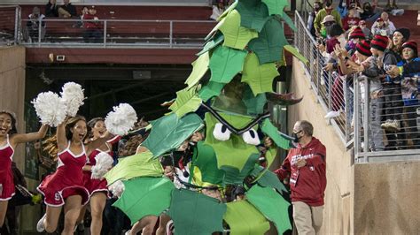 Stanford Tree mascot learns punishment for unveiling banner | Yardbarker