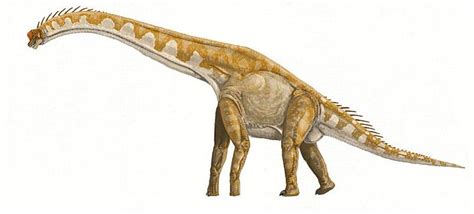 Giraffatitan | Dinopedia | Fandom