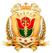 Southern Medical University | Guangzhou, China | FIMMU